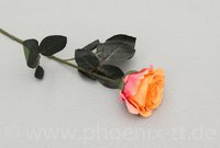 Rose 'Madame', gefüllt, L= 37 cm, orange