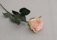 Rose 'Madame', gefüllt, L= 37 cm, rosa