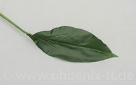 Crinumblatt,L= 65 cm, grün