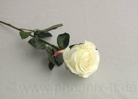 Rose 'Madame' gefüllt, L= 37 cm, creme