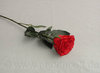 Rose 'Madame' gefüllt,  L= 37 cm, rot