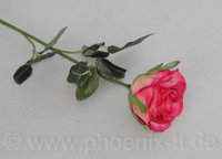 Rose 'Madame',gefüllt,  L= 37 cm malve