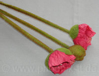 Mohnblütenbund 3-tlg. L=60 cm d.rosa