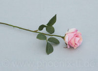 Rose, L=36 cm, hellrosa