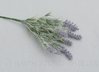 Lavendelbusch 'Premium' x 7, L= 33 cm, lila