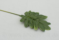 Philodendronblatt, L= 39 cm, grün