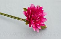 Lotus-Bund x 2, L= 75 cm, rosa