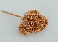 Alliumbund x ??,  L= 30 cm, gold