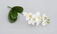 Phalaenopsis m/Blatt, L= 40 cm, weiß